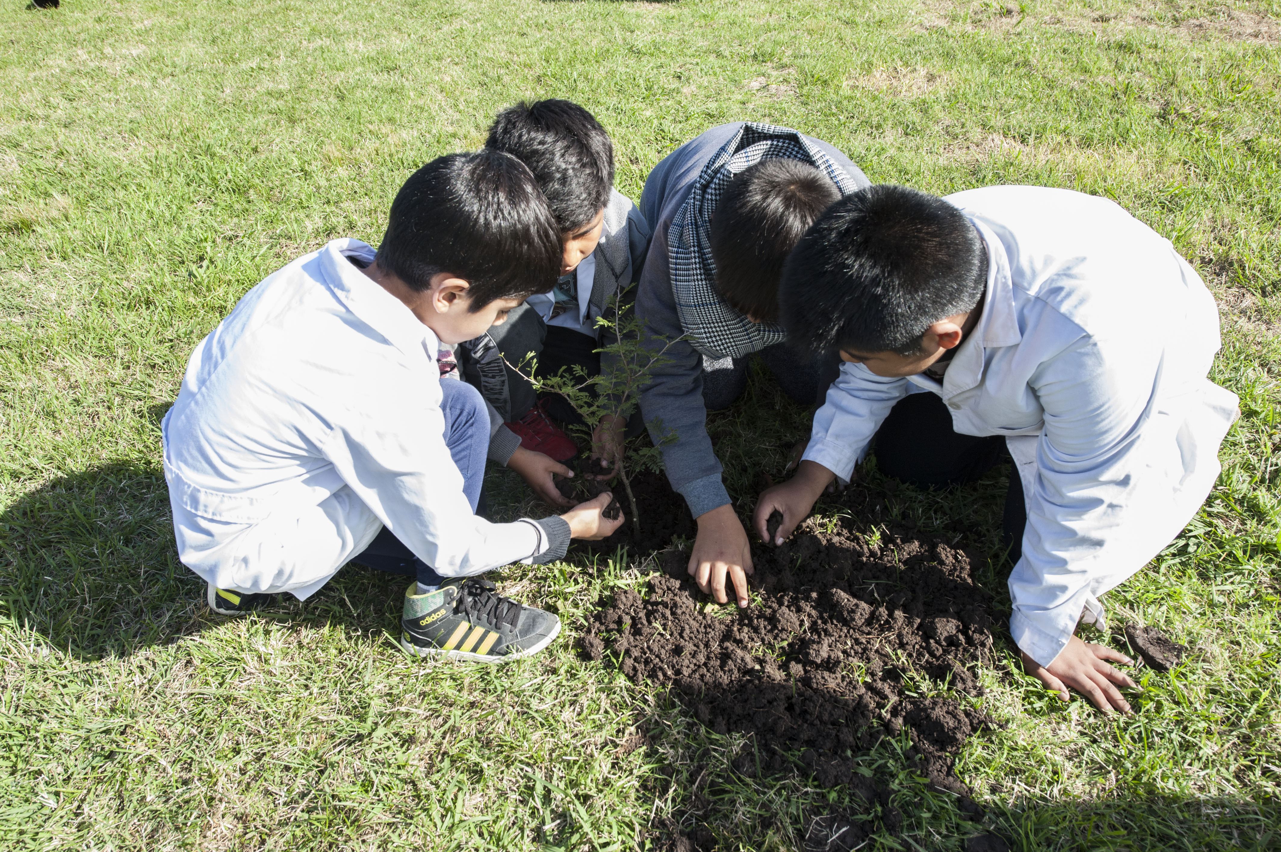 Plantar un árbol para sembrar el futuro