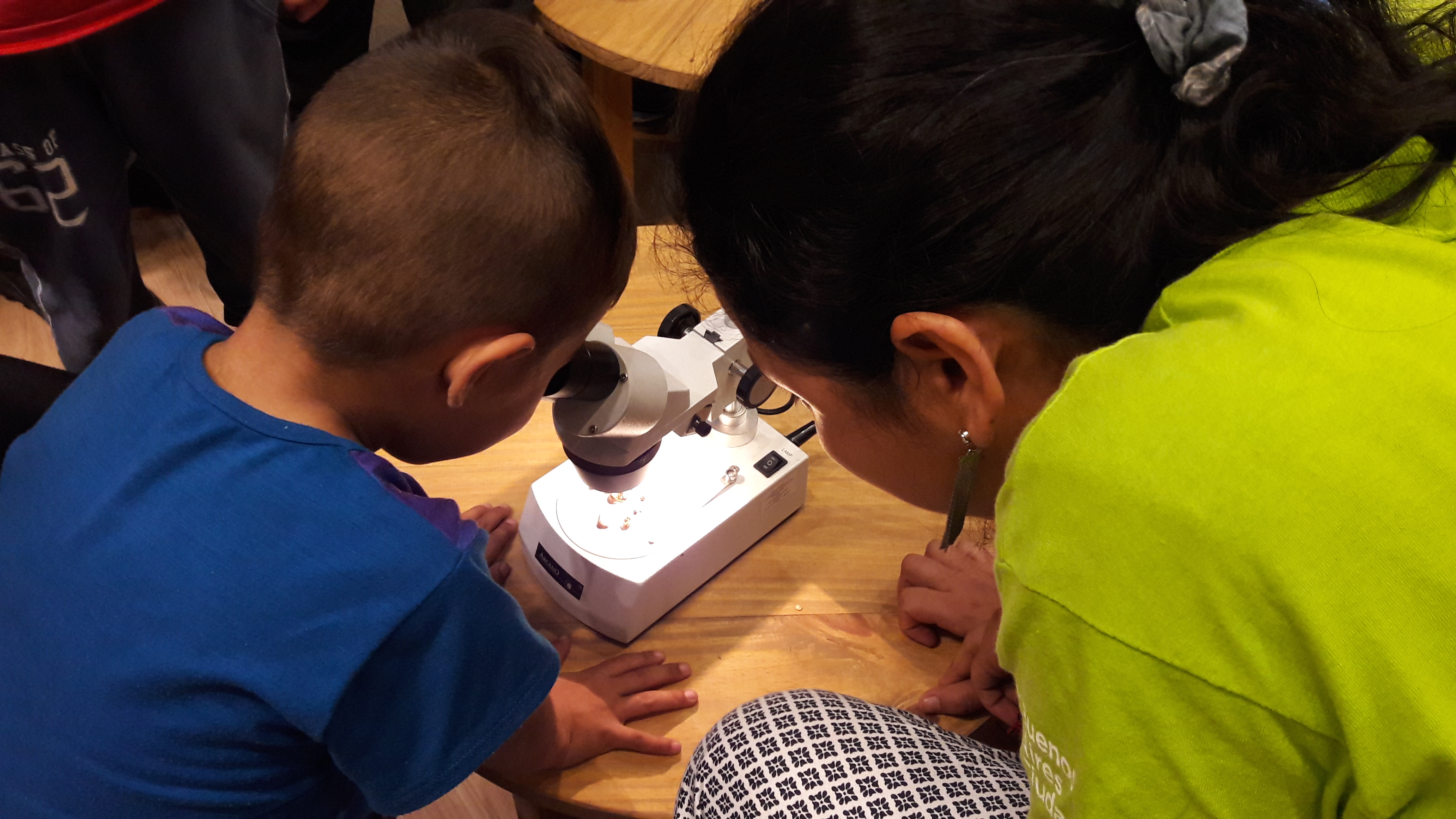 Agenda Ambiental en la Feria del Libro Infantil