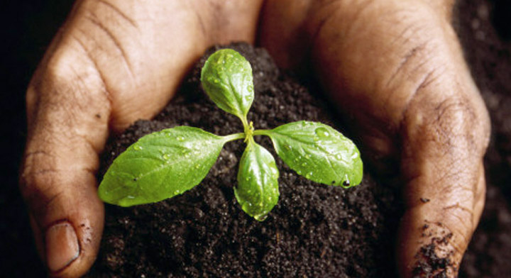 7 de julio: Día de la conservación del suelo