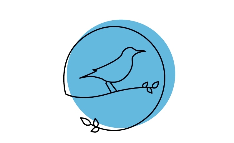 Comenzó la elección del Ave Emblema de la Ciudad