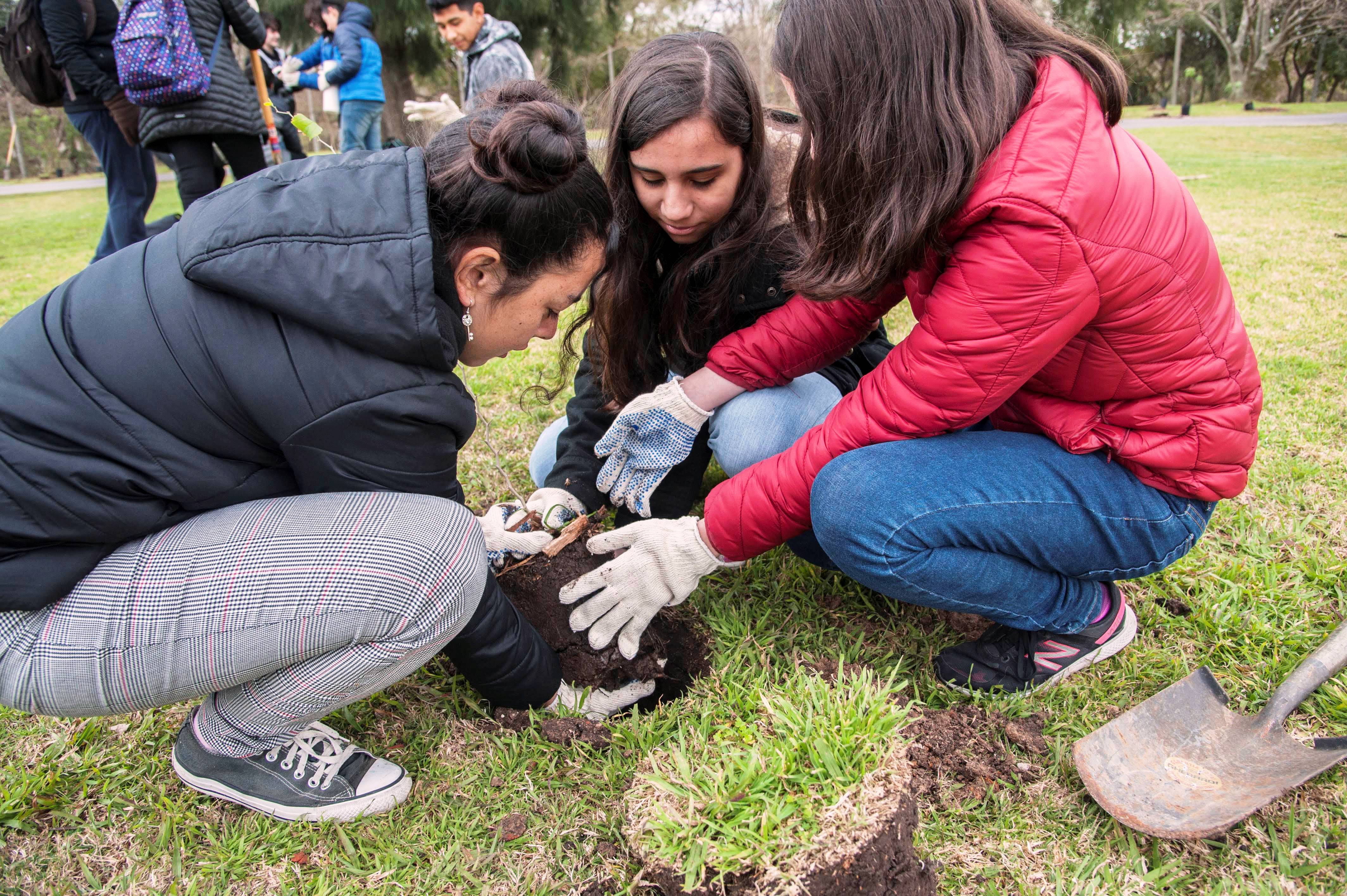 Plantar para cuidar nuestro ambiente