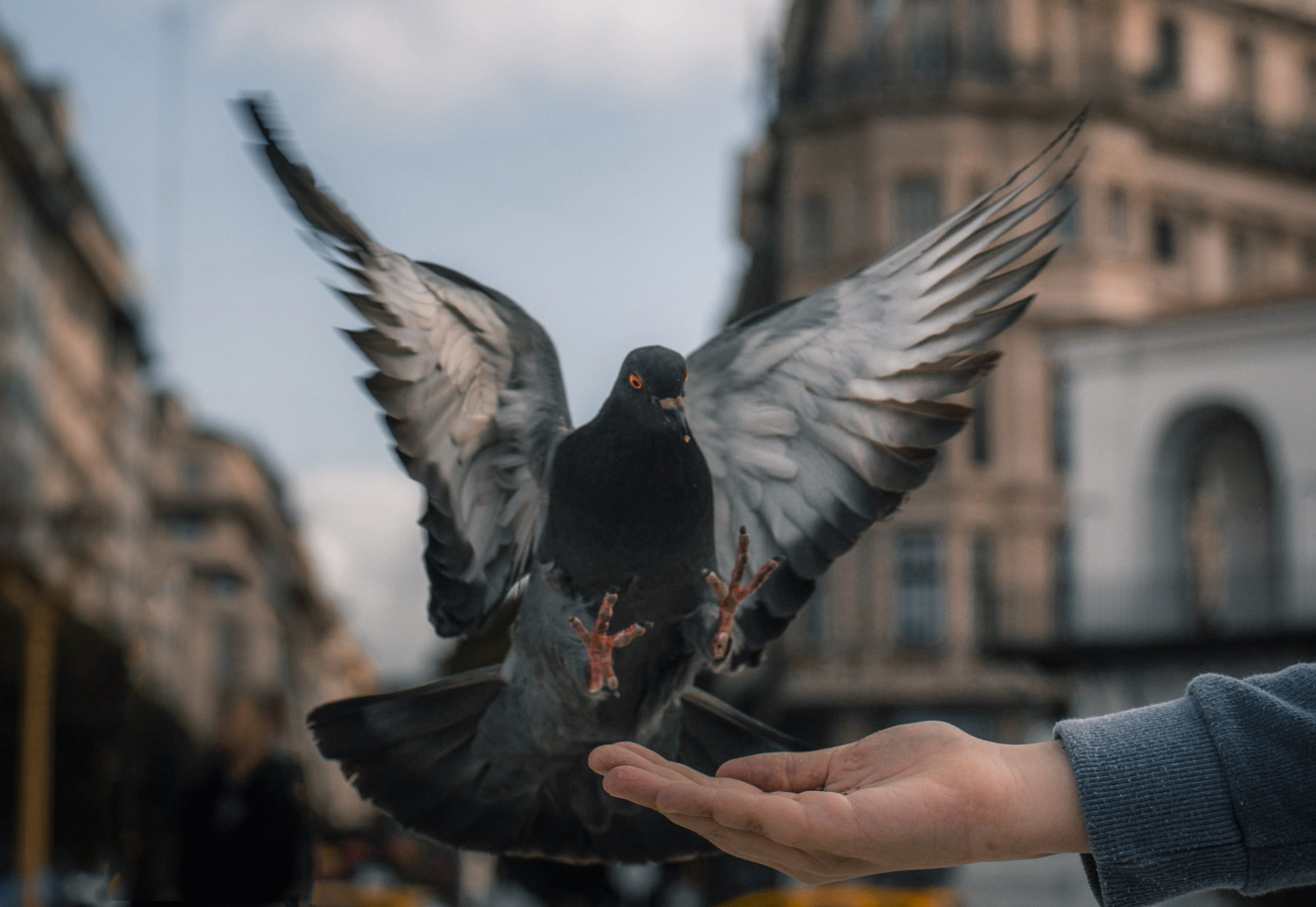 Los 25 años de nuestra Ciudad Autónoma