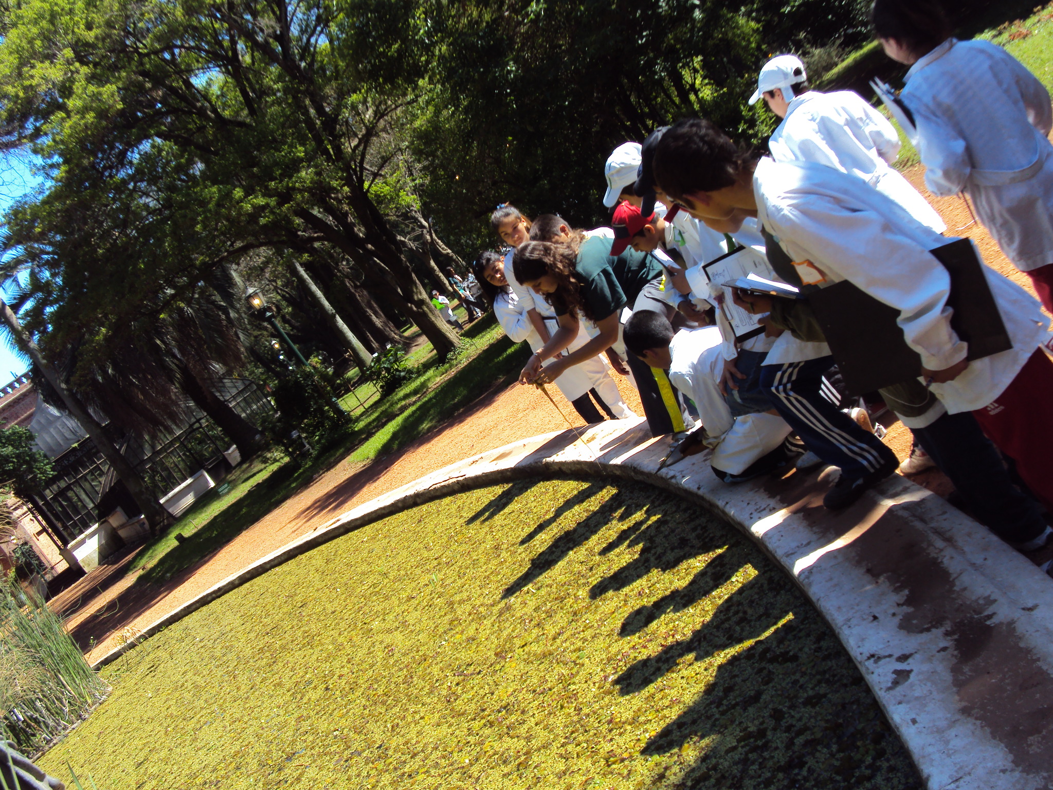 11mo. Congreso Internacional de Educación en Jardines Botánicos. Declarado de Interés Nacional por la Presidencia de la Nación