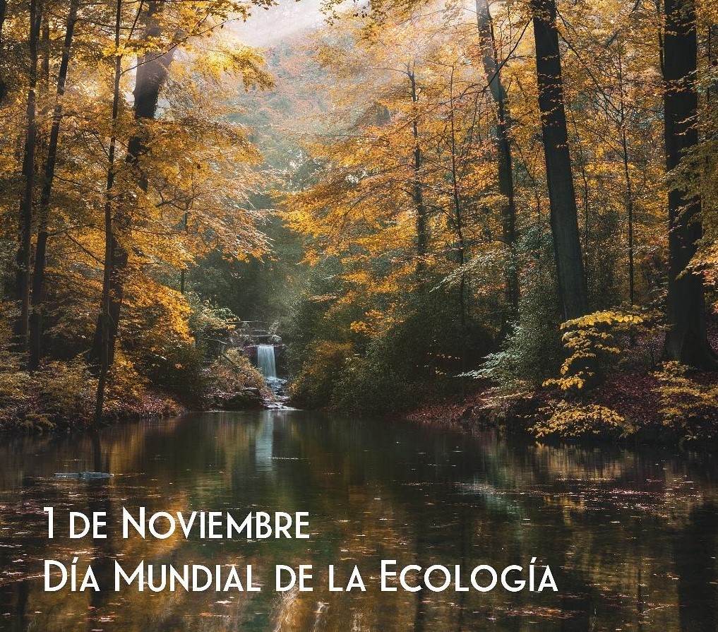 El 1 de noviembre se celebra el Día Mundial de la Ecología