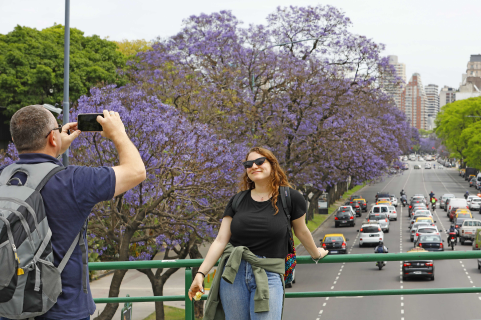 Los barrios porteños se llenan de color con el florecimiento de los jacarandás