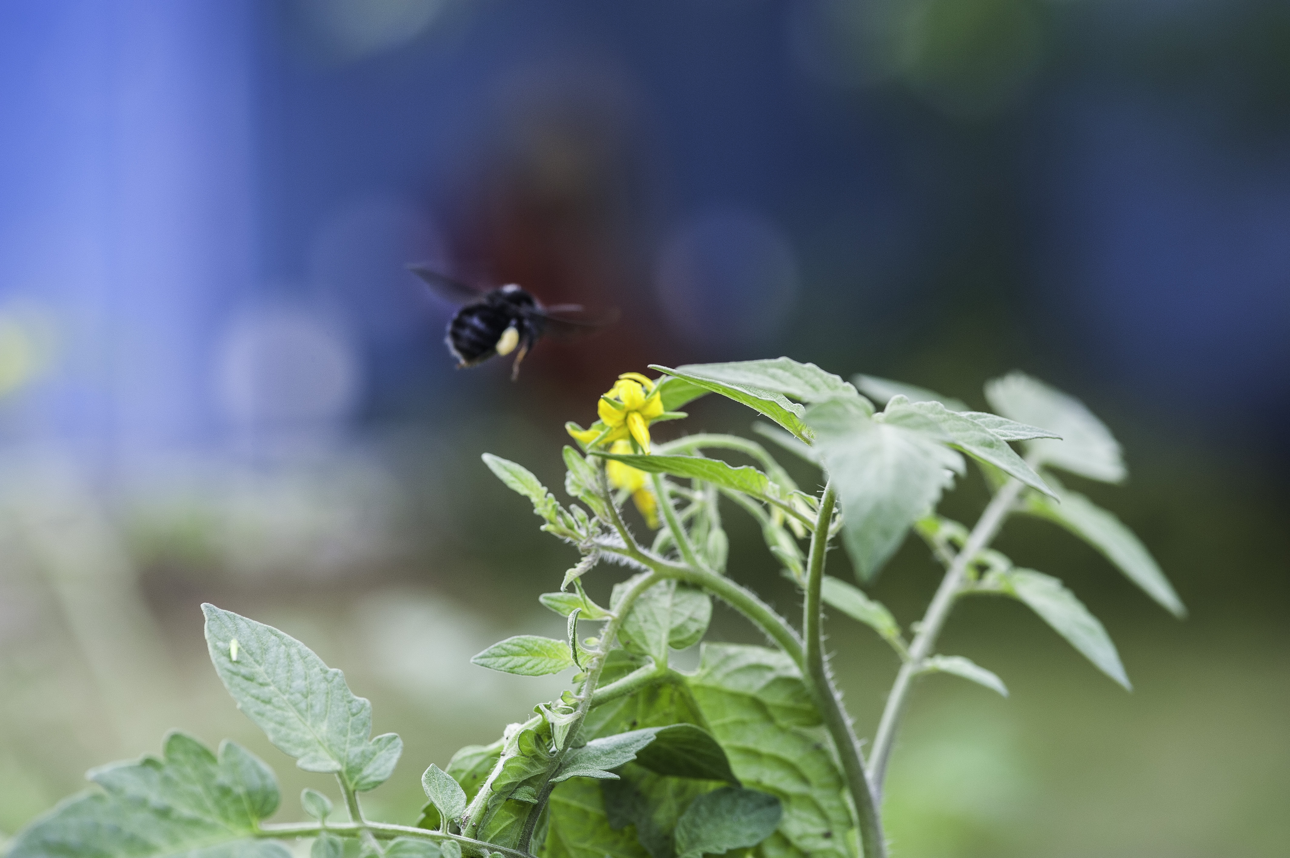 El primer concurso de Huertas ya tiene a sus ganadores