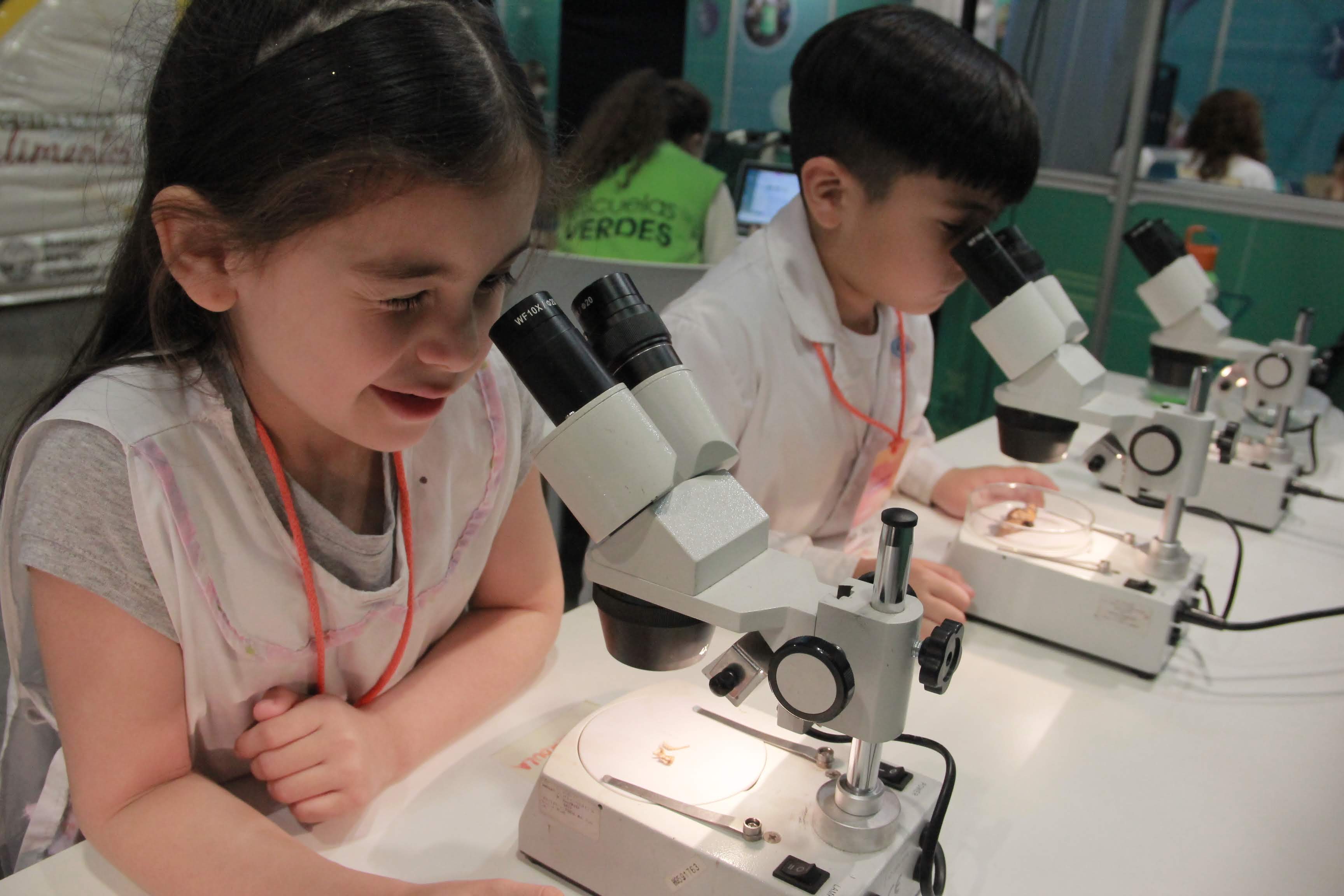 Efemérides ambientales 2020