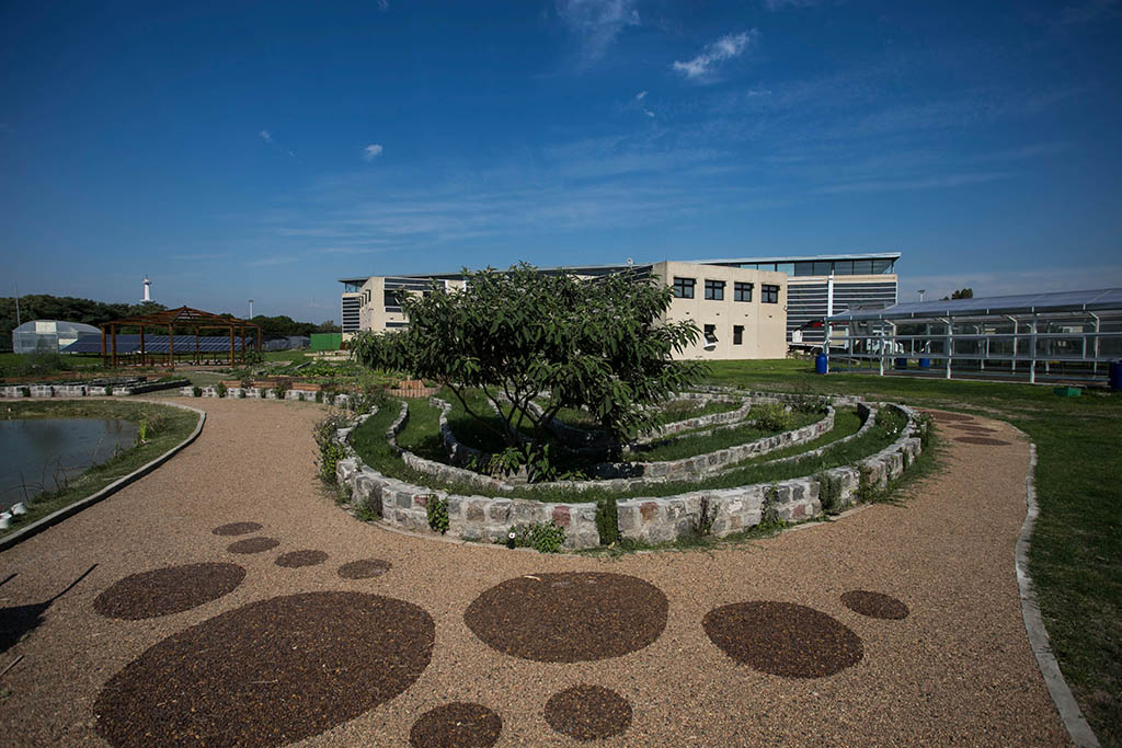 Paseo Ambiental del Sur: un recorrido imperdible en Villa Soldati