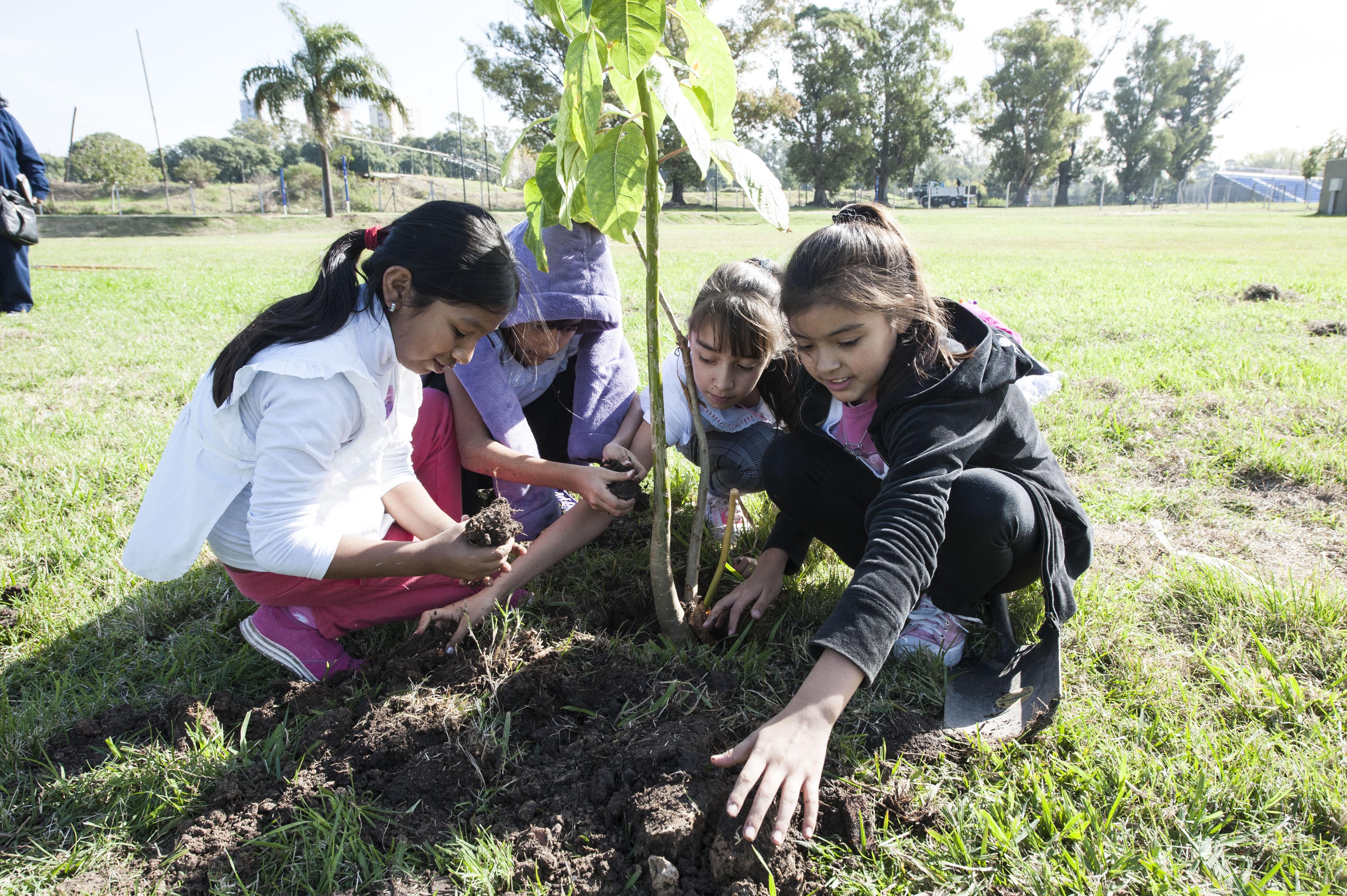 Plantar un árbol es plantar vida y futuro | Buenos Aires Ciudad - Gobierno  de la Ciudad Autónoma de Buenos Aires