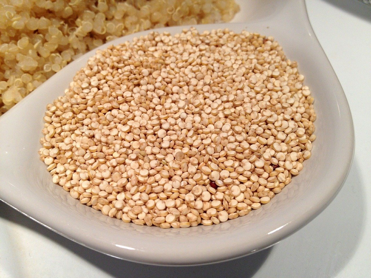 Quinoa, el grano madre