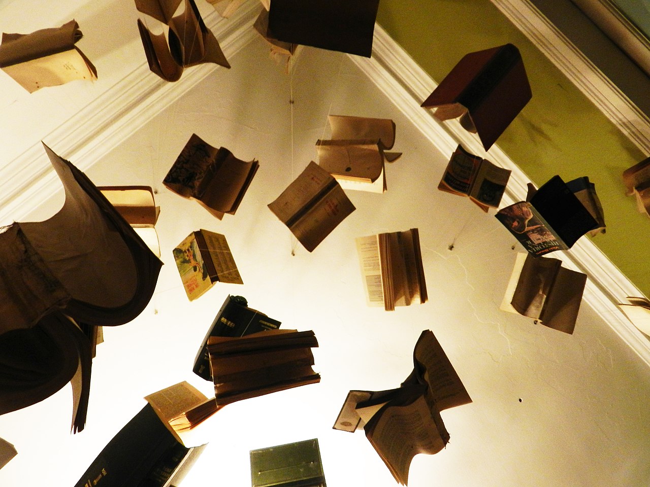 Experimentá la literatura desde nuevas perspectivas