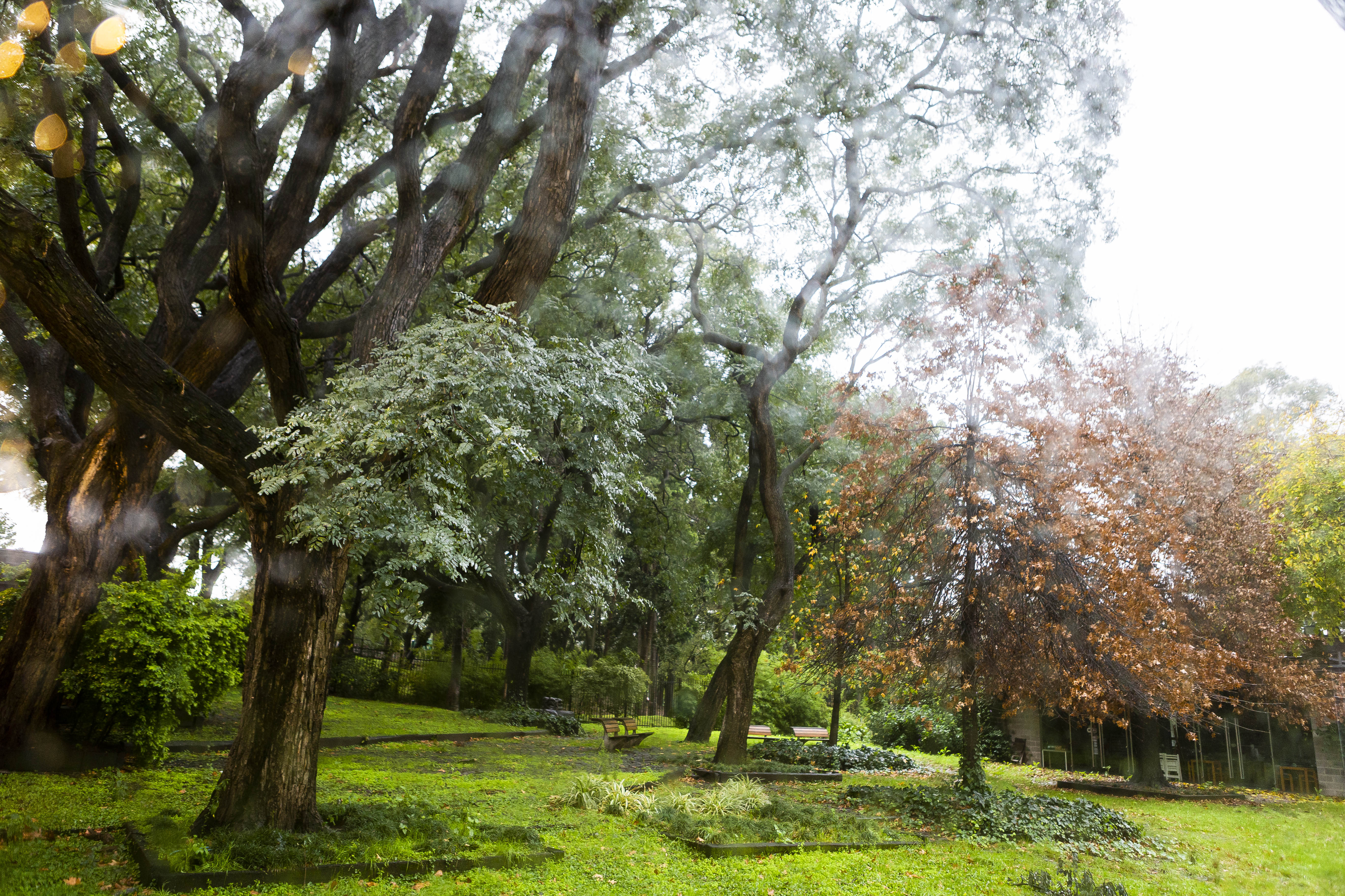 Convocatoria para entrenamientos culturales en los jardines de los Museos BA