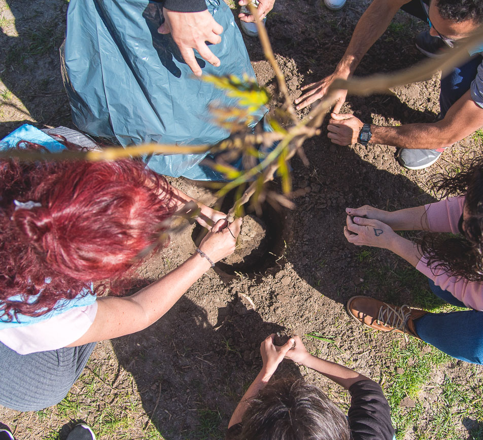 Jornada de plantación en Lugano I y II
