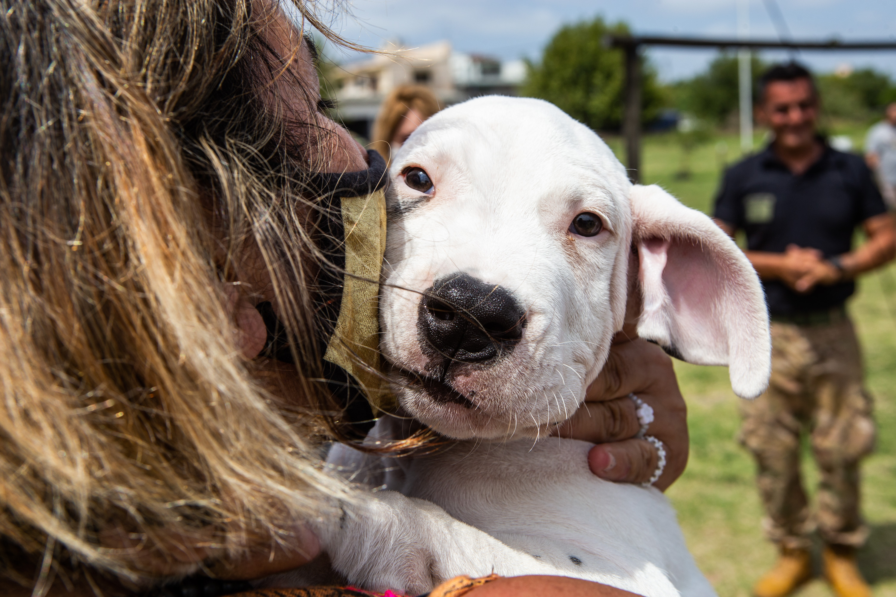 Descubriste cómo se entrena a la División Canes de la Policía de la Ciudad