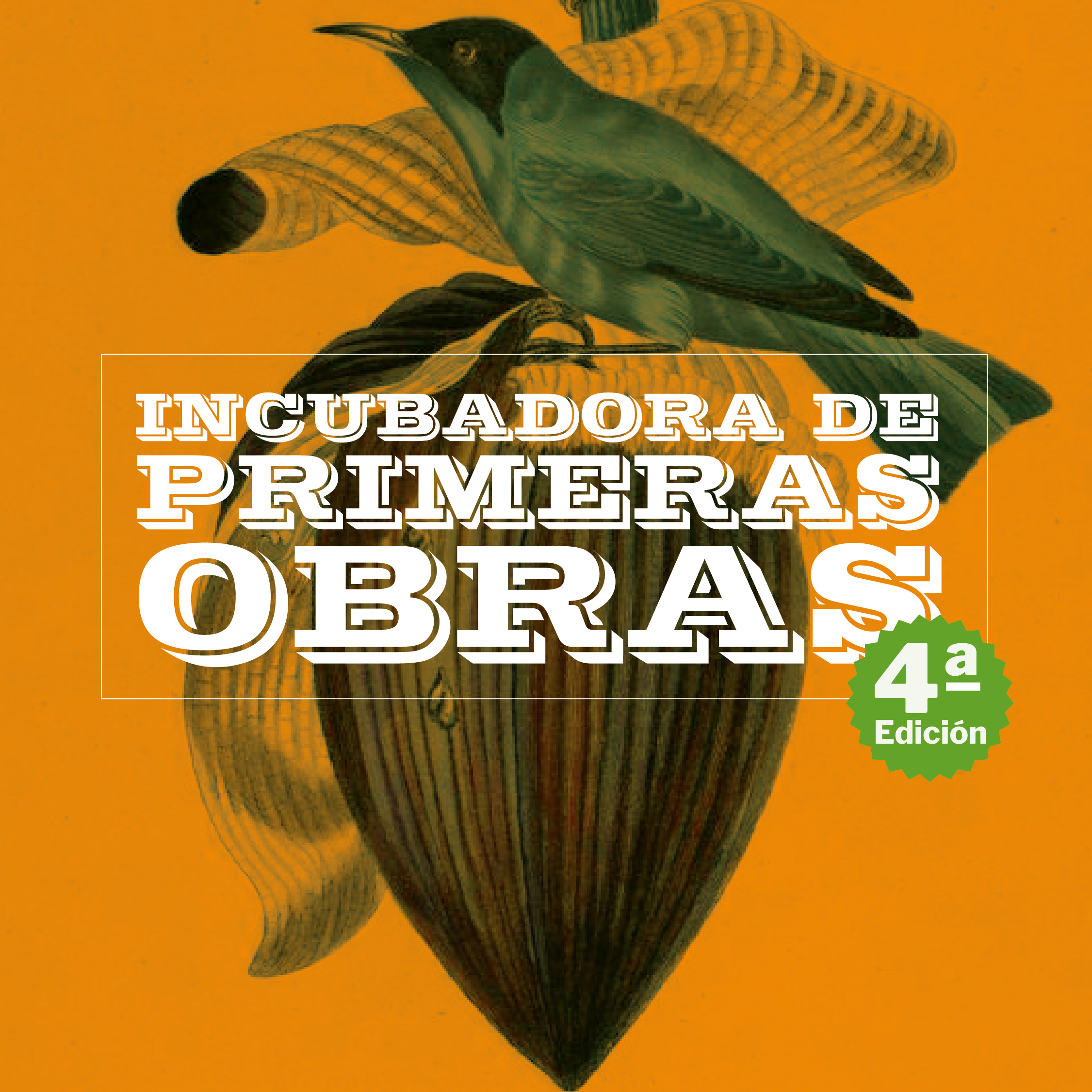 Incubadora de Primeras Obras (4ª edición)