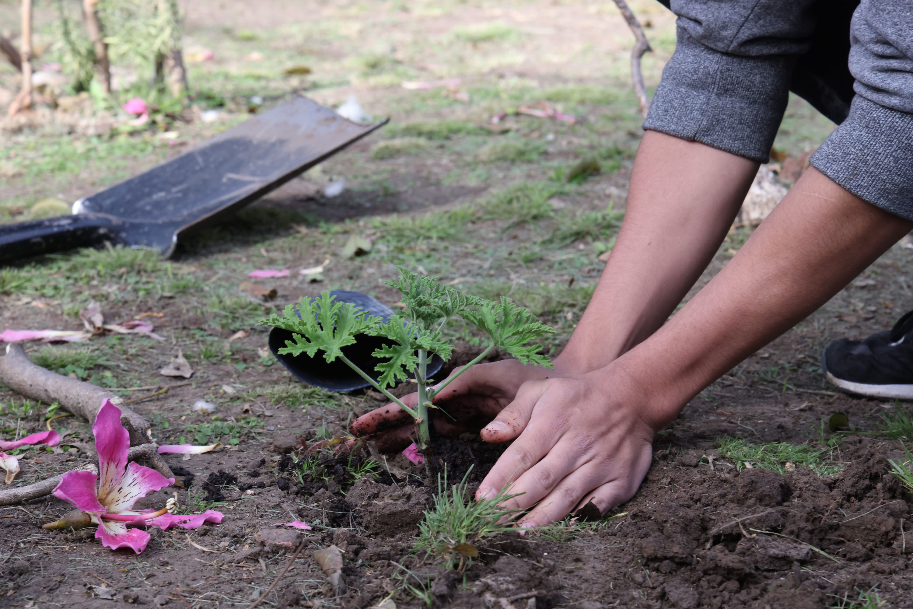 Las escuelas porteñas producen sus alimentos y promueven el cuidado del ambiente