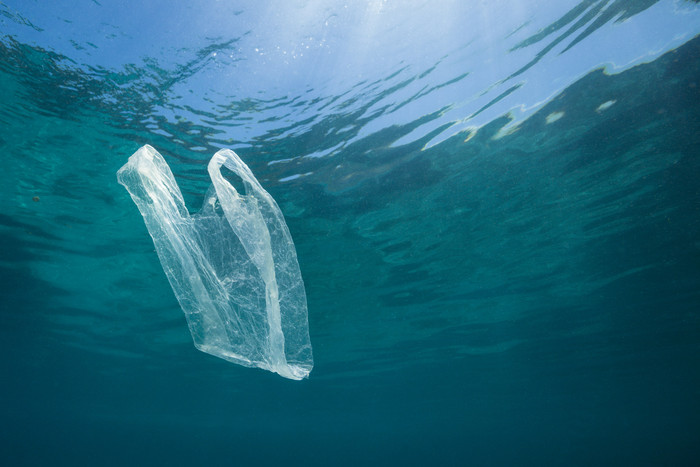 Julio sin plásticos: seguimos compartiendo datos para entender por qué reducir su uso es tan importante para nuestro ambiente