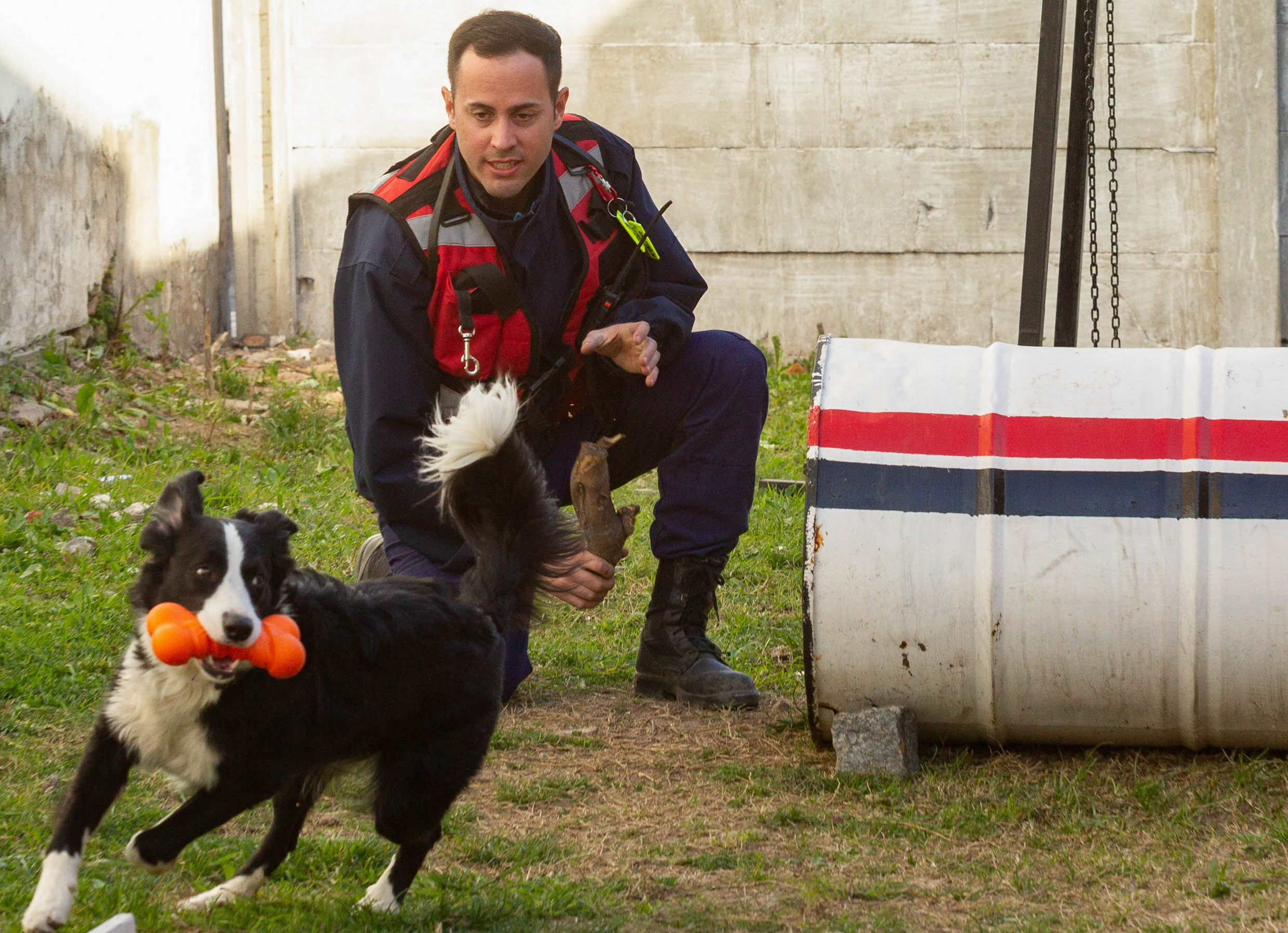 Unidad canina de rescate: el entrenamiento de los súper perros que intervienen en derrumbes y tragedias