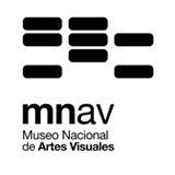 Museo Nacional de Artes Visuales Uruguay