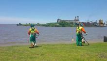 operarios del gobierno de la ciudad limpiando en la costa del rio 