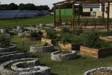 Huerta y paneles solares