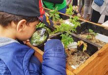 Reconocimiento Escuelas Verdes