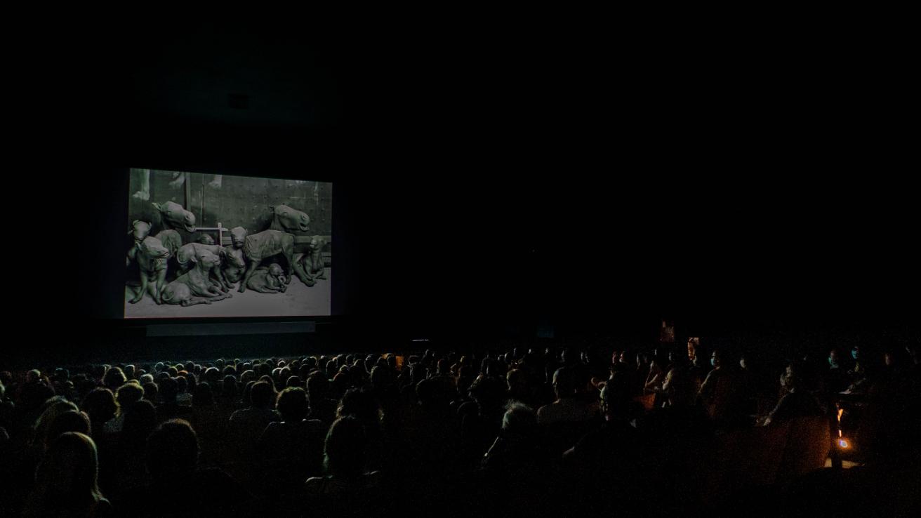 Proyeccion de pelicula a sala llena en el Cine Gaumont