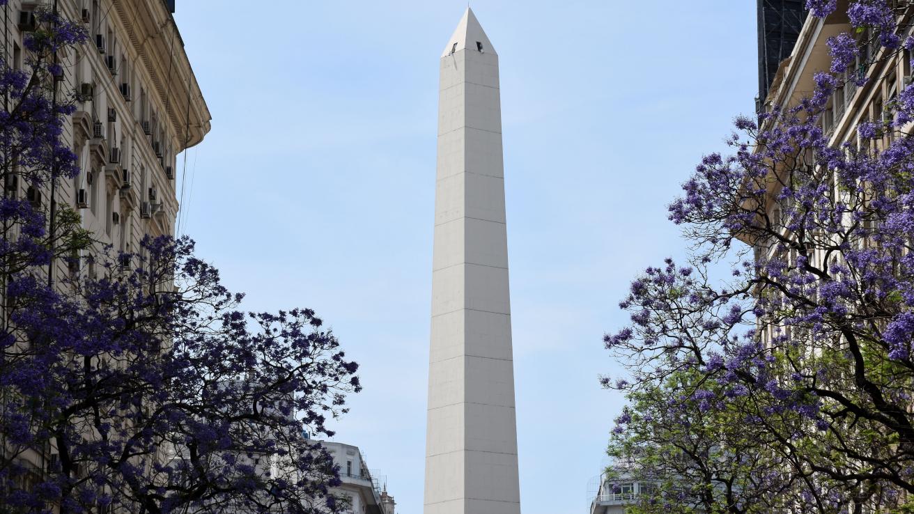 Arbolado de la Ciudad