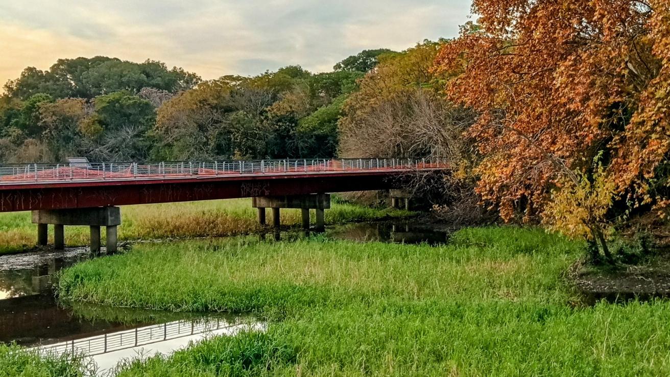 Ecológica Ciudad Universitaria Costanera Norte