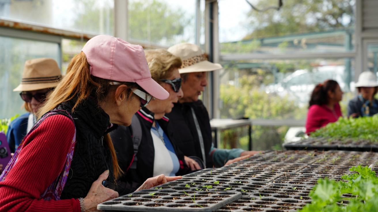 Paseo Ambiental del Sur