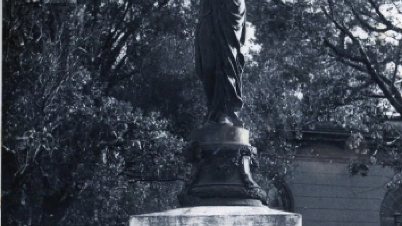 Farol Hospital Alvear.png