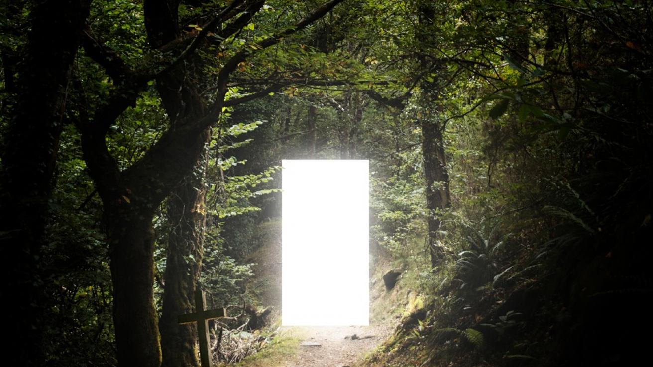 Mil puertas a la poesía