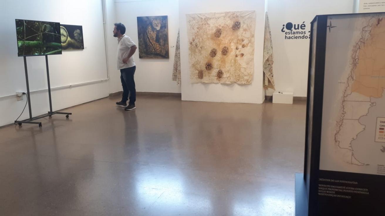 Muestra «¿Qué estamos haciendo?» de Gabriela Gürtner, expuesta en el Museo Benito Quinquela Martín