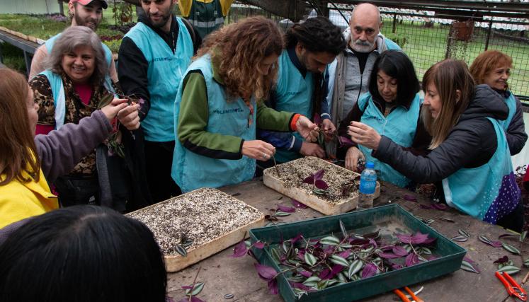 VoluntariosBA: una jornada de siembra y plantación