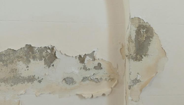 detalle de una pared con la pintura descascarada y humedad 