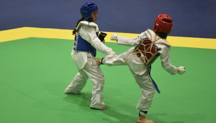 taekwondo porteños 2023