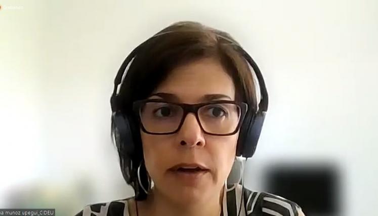 3 webinario cideu-cglu 05