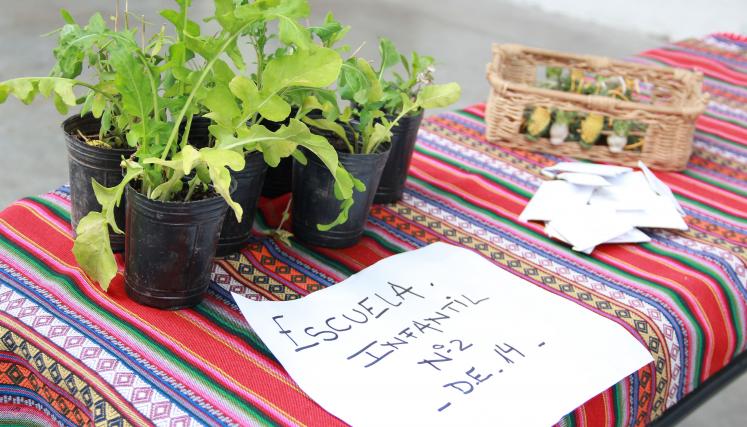 Feria de intercambio