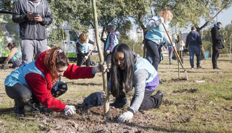 voluntariado