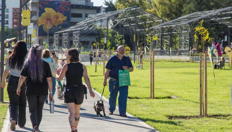 WhatsApp Image 2024-07-26 at 09.22.16.jpeg