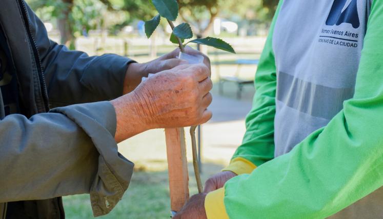 Se observan dos personas plantando un tarumá