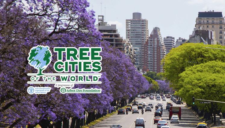 Se observan jacarandás y el logo del programa Tree Cities of the World