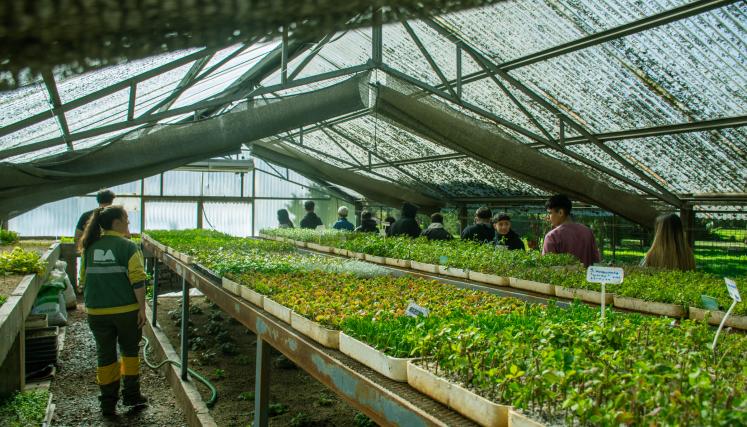 Alumnos en el vivero