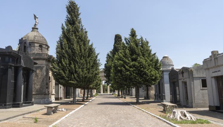 Cementerio de Flores