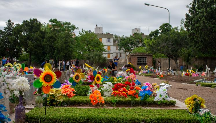 Celebridad por el día de los muertos