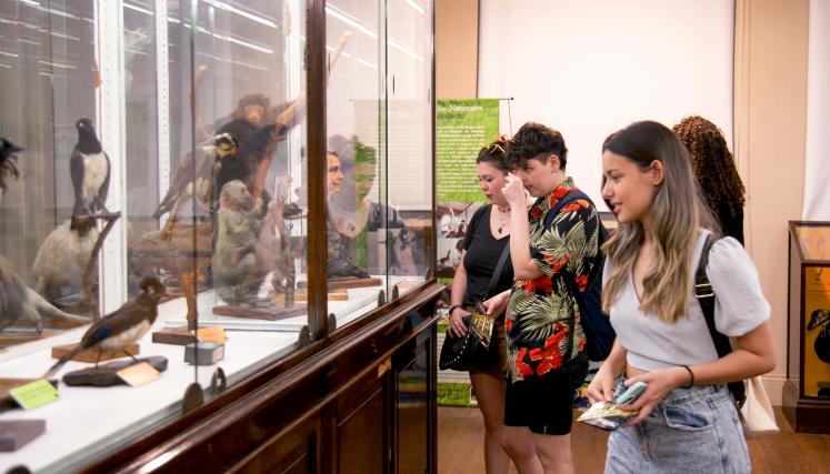 la noche de los museos 2024