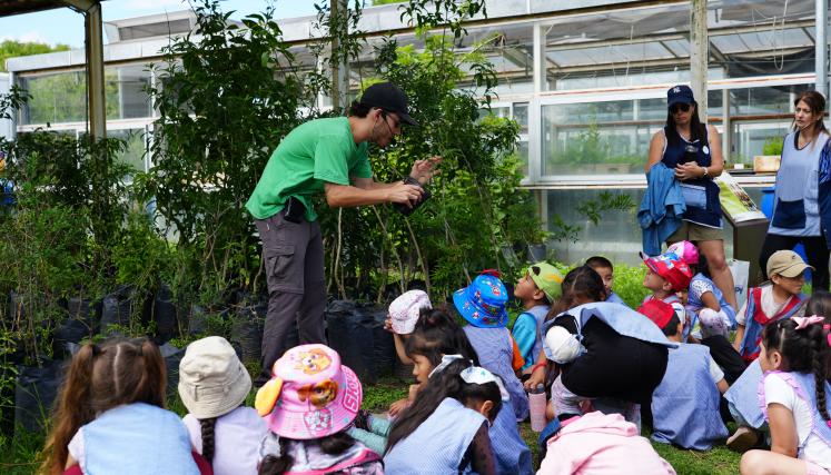 Escuelas por el riachuelo