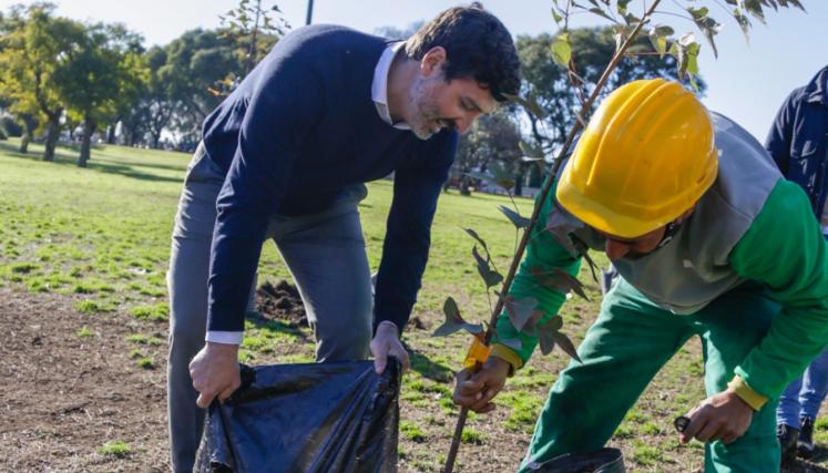 Con más de 18.000 nuevos ejemplares plantados, la Ciudad completó el Plan de Arbolado 2024