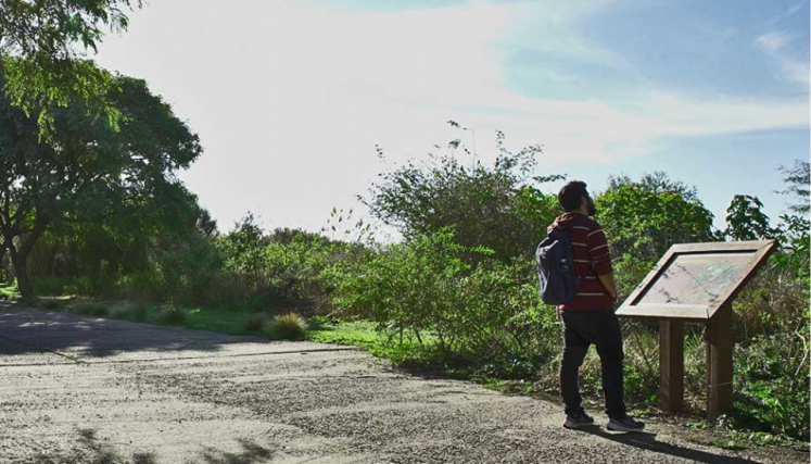 Vista del camino de la reserva