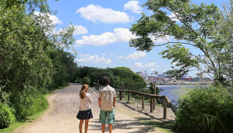 Vista panorámica del camino de la Reserva